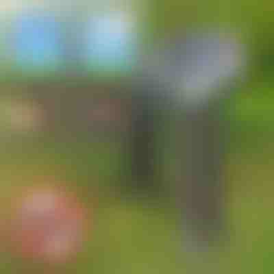 Solárny odpudzovač škodcov | SOLGUARD