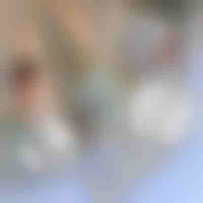 Opravná páska na moskytiéry | INSECTAPE