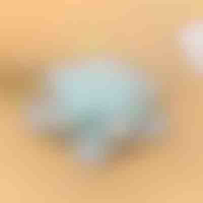 Rotačná miska | SNACKARO