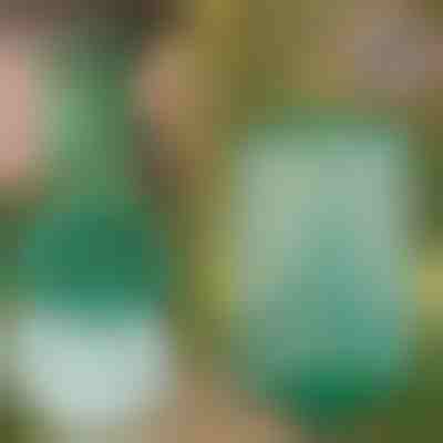 Opakovane použiteľná závesná pasca na muchy pre záhradu, terasu a balkón | INSECTA