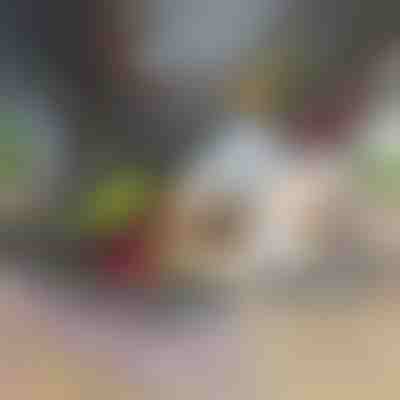 Sekáčik a krájač zeleniny 12 v 1 | CHOPMASTER