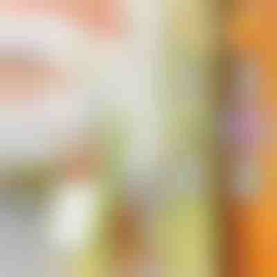 Viacúčelový sekáčik | SLICEWISE