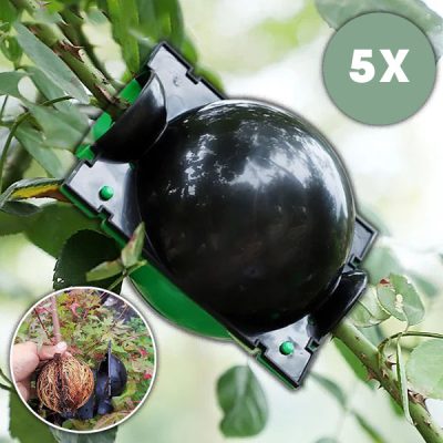 Propagačná krabica pre zdravé korene (5 kusov) | ROOTY