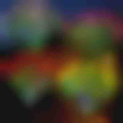 Solárne kvetinové svetlá | ROSILUME