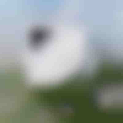 Bezproblémové čistenie okien | WINDOWSWIPE